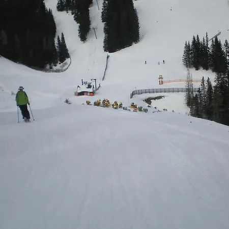 Alpstuga Almrauschhuette Markus