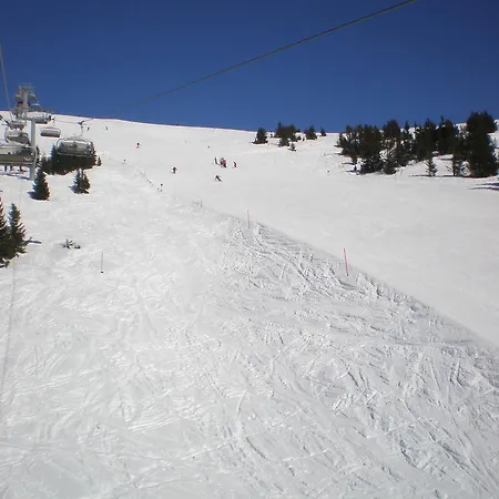 Almrauschhuette Markus Lachtal