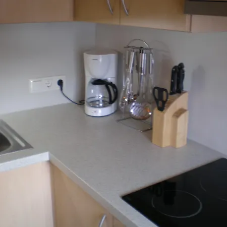 Chalet Almrauschhuette Markus Lachtal