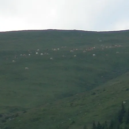 Alpstuga Almrauschhuette Markus *