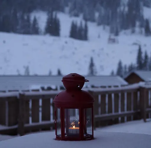 Chalet Almrauschhütte Markus Lachtal