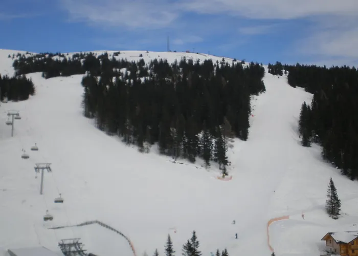 Chalet Almrauschhütte Markus *