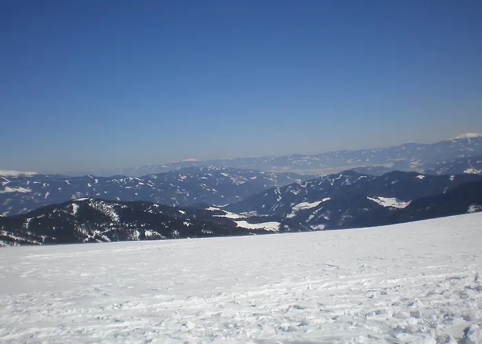 Almrauschhuette Markus Lachtal