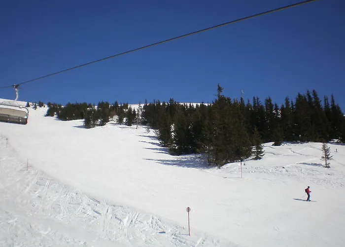 Almrauschhütte Markus Lachtal