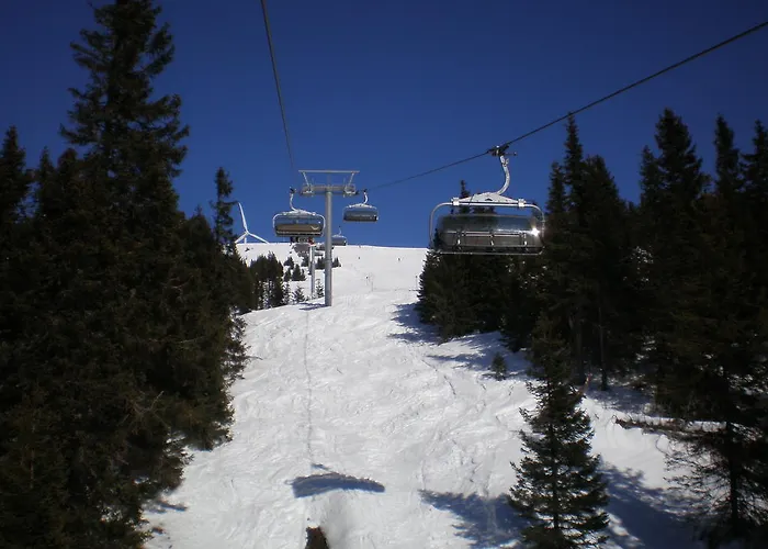 Almrauschhütte Markus Lachtal