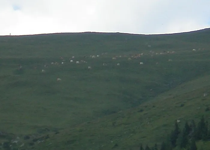 Chalet Almrauschhütte Markus *